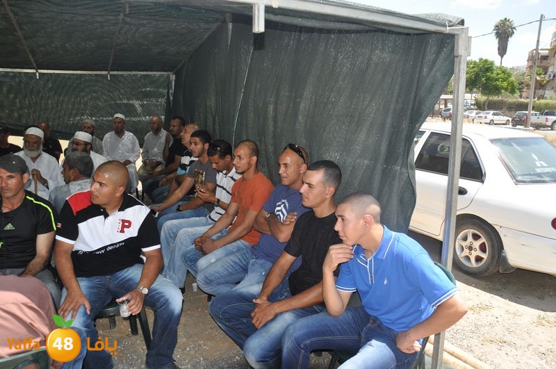 sol7desoqylud615 (74).JPG